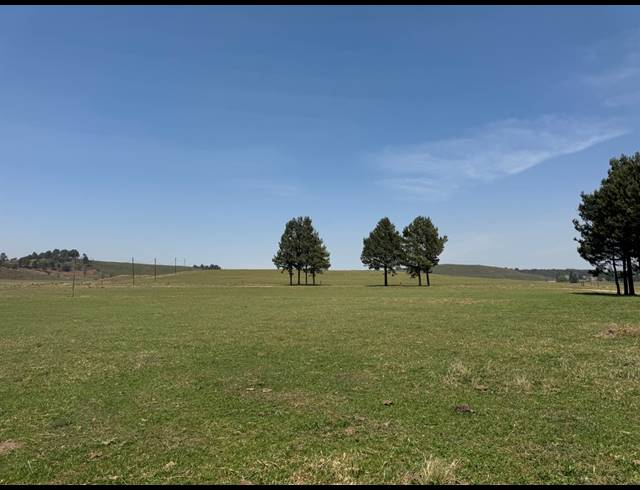 90HA FARM FOR SALE IN DARGLE